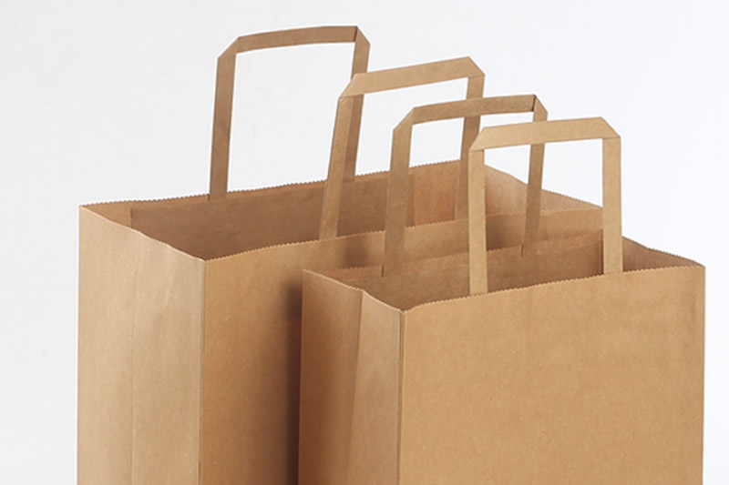 Paper Shopping Bag With Flat Rope Handle