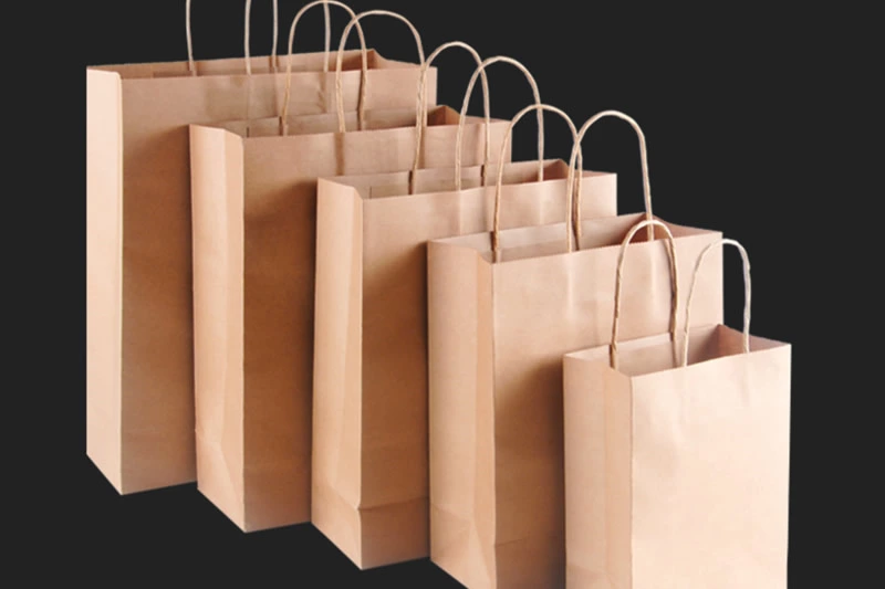 Paper Shopping Bag With Twister Rope Handle